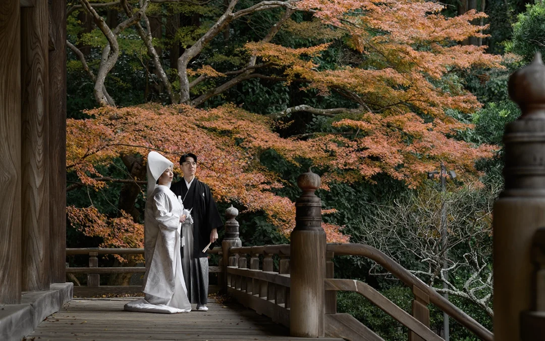 鎌倉紅葉前撮り完全ガイド｜見頃・おすすめ寺院・和装撮影の魅力を徹底解説