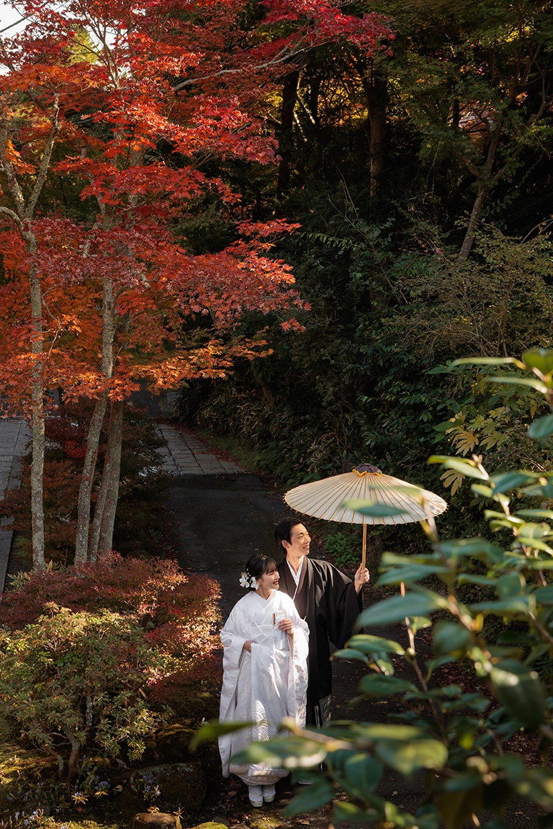 鎌倉・海蔵寺の紅葉に囲まれた境内で和傘を使って撮影した和装前撮り写真