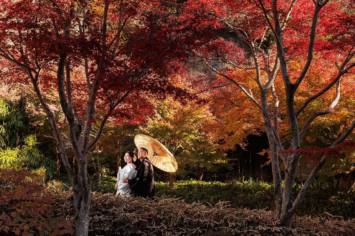 鎌倉・海蔵寺の鮮やかな紅葉に囲まれて撮影した和装前撮り写真
