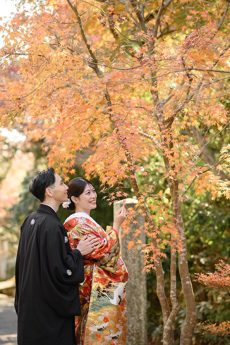 鎌倉・海蔵寺の紅葉を眺めながら撮影した色打掛の和装前撮り写真