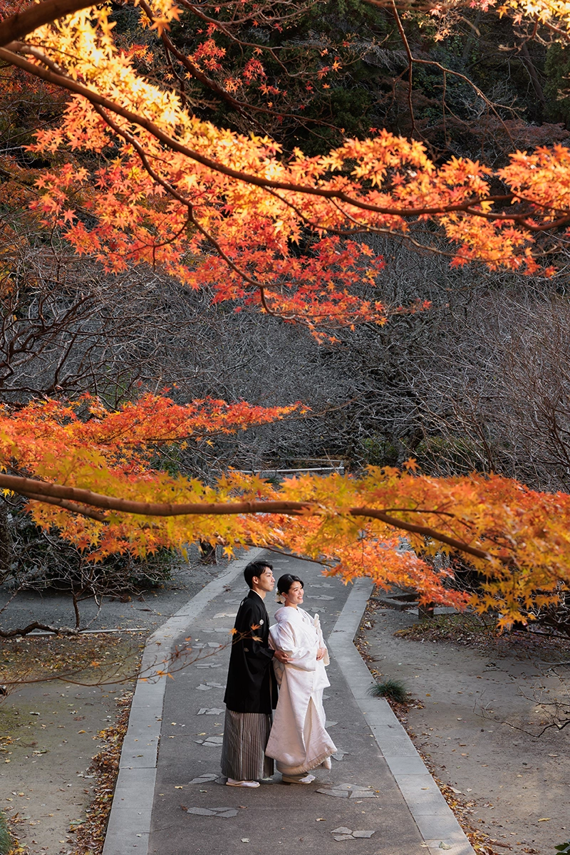 鎌倉・妙本寺の紅葉に包まれた参道で撮影した和装前撮り写真