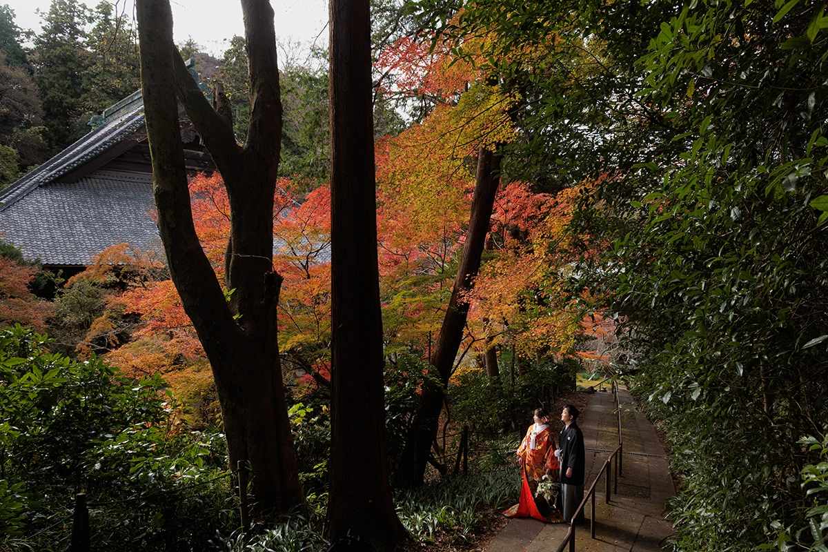 鎌倉・妙本寺の本堂と紅葉に囲まれた参道で撮影した和装前撮り写真