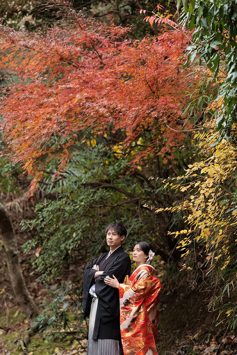鎌倉・建長寺の紅葉に囲まれて撮影した色打掛の和装前撮り写真