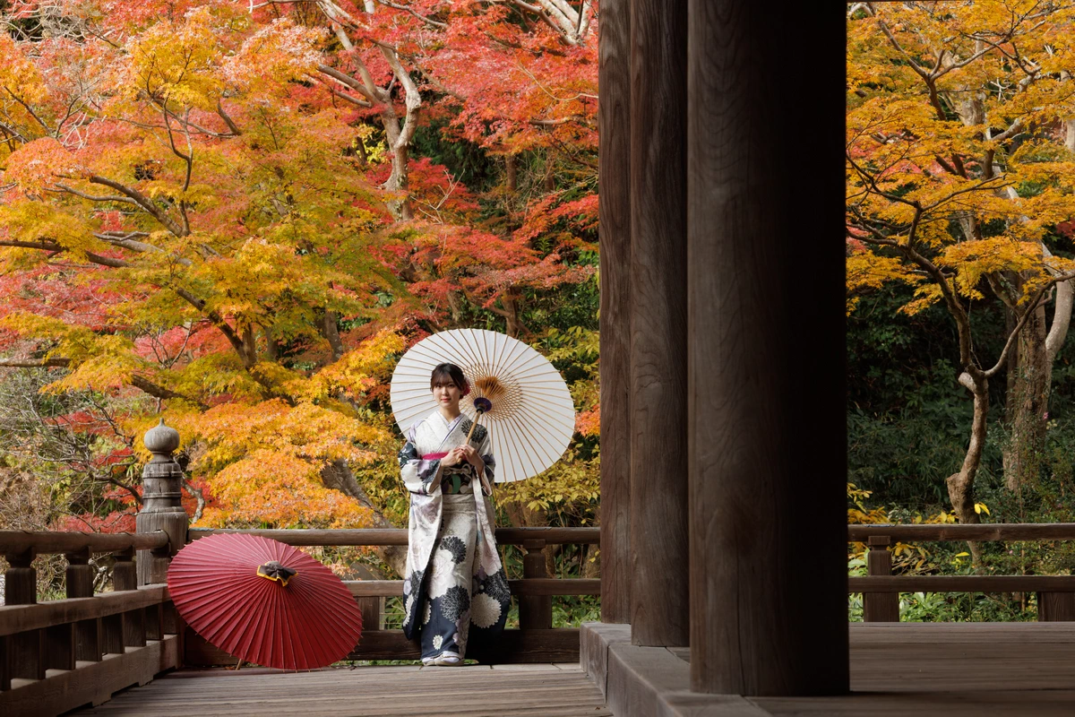鎌倉の紅葉に囲まれた妙本寺の回廊で、白と黒の振袖姿の女性が白い和傘を持って立つ成人式前撮り。
