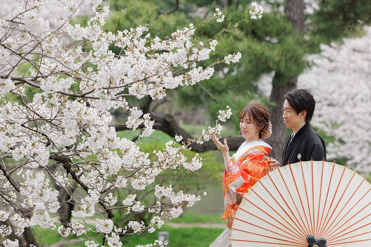 三溪園の満開の桜を背景に色打掛と黒紋付姿の新郎新婦を撮影した和装前撮り写真