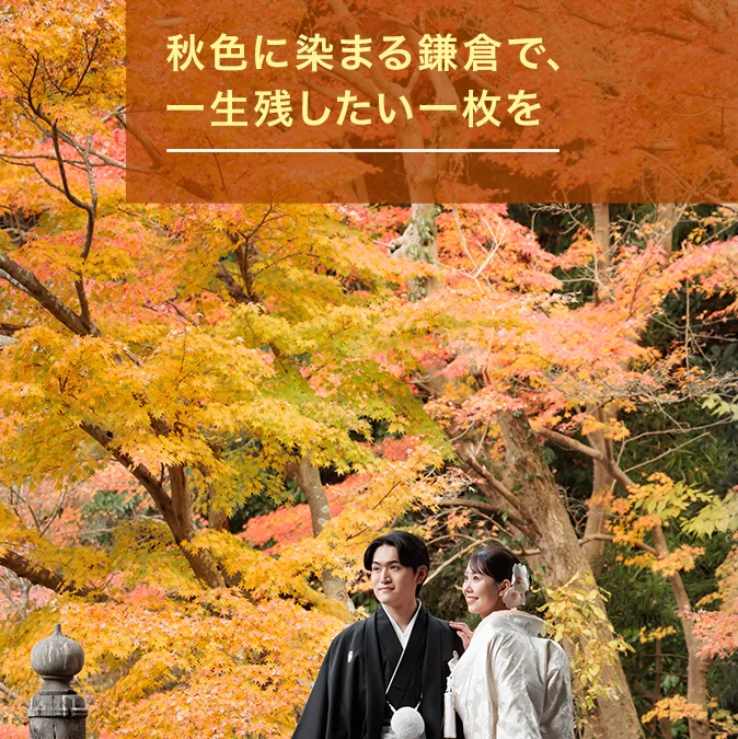 2026年 鎌倉紅葉前撮り｜いつ・どこで撮る？見頃とロケーション選び