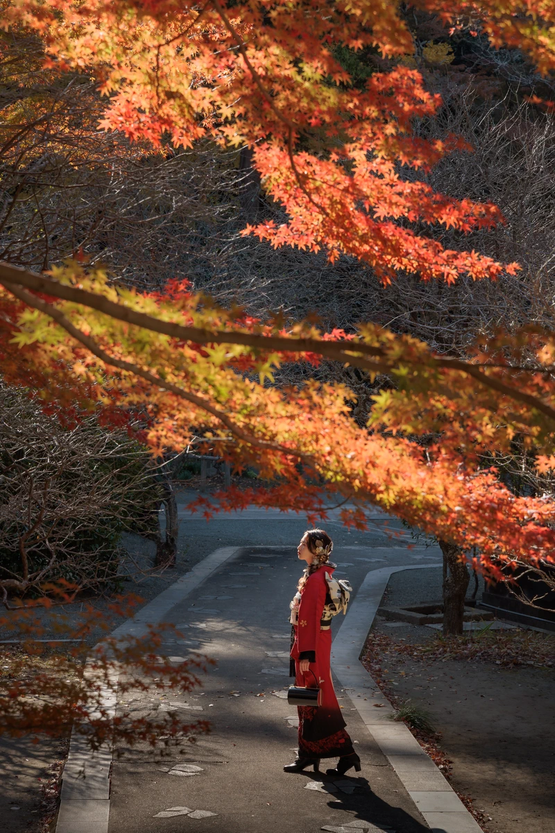 鮮やかな紅葉の下で、赤と黒を基調とした振袖姿の女性が横向きに立つ鎌倉の成人式前撮り。