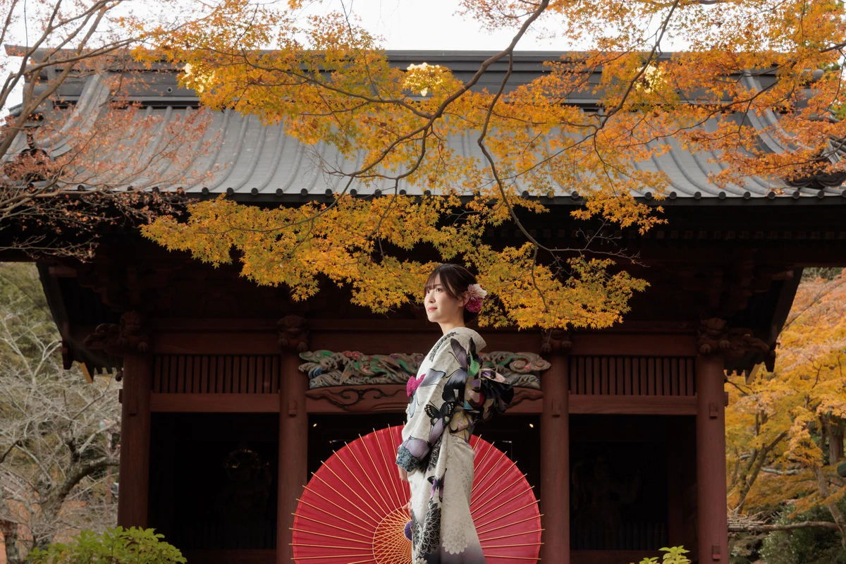 黄葉した木々と妙本寺の山門を背景に、白と黒の振袖姿の女性が赤い和傘を添えて立つ成人式前撮り。