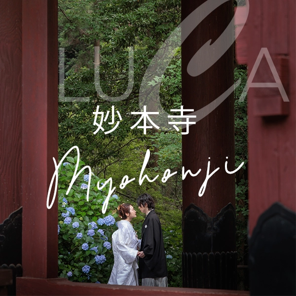 Luca撮影地　妙本寺