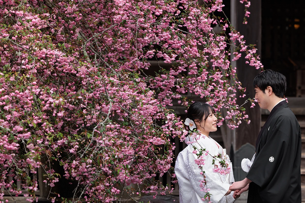 妙本寺で和装の白無垢と紋付袴を着た新郎新婦がカイドウと一緒に写る和装前撮り