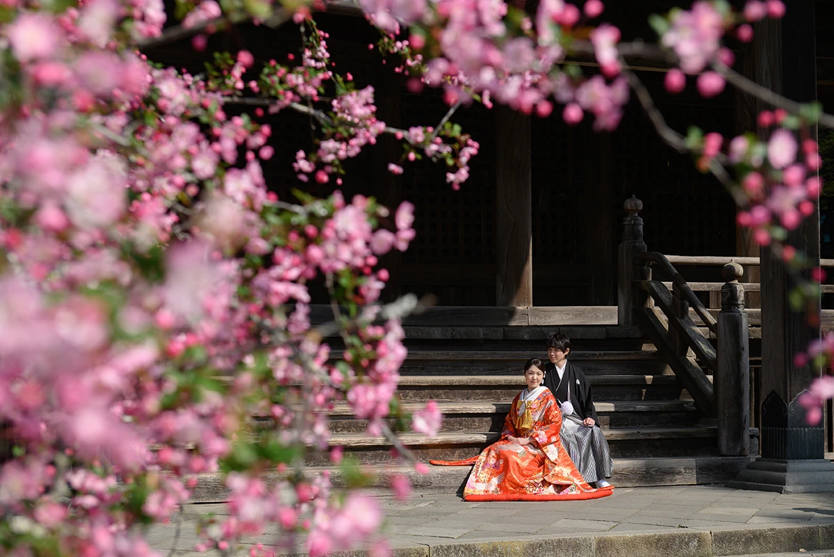 妙本寺で和装の色打掛と紋付袴を着た新郎新婦が春に残す和装前撮り