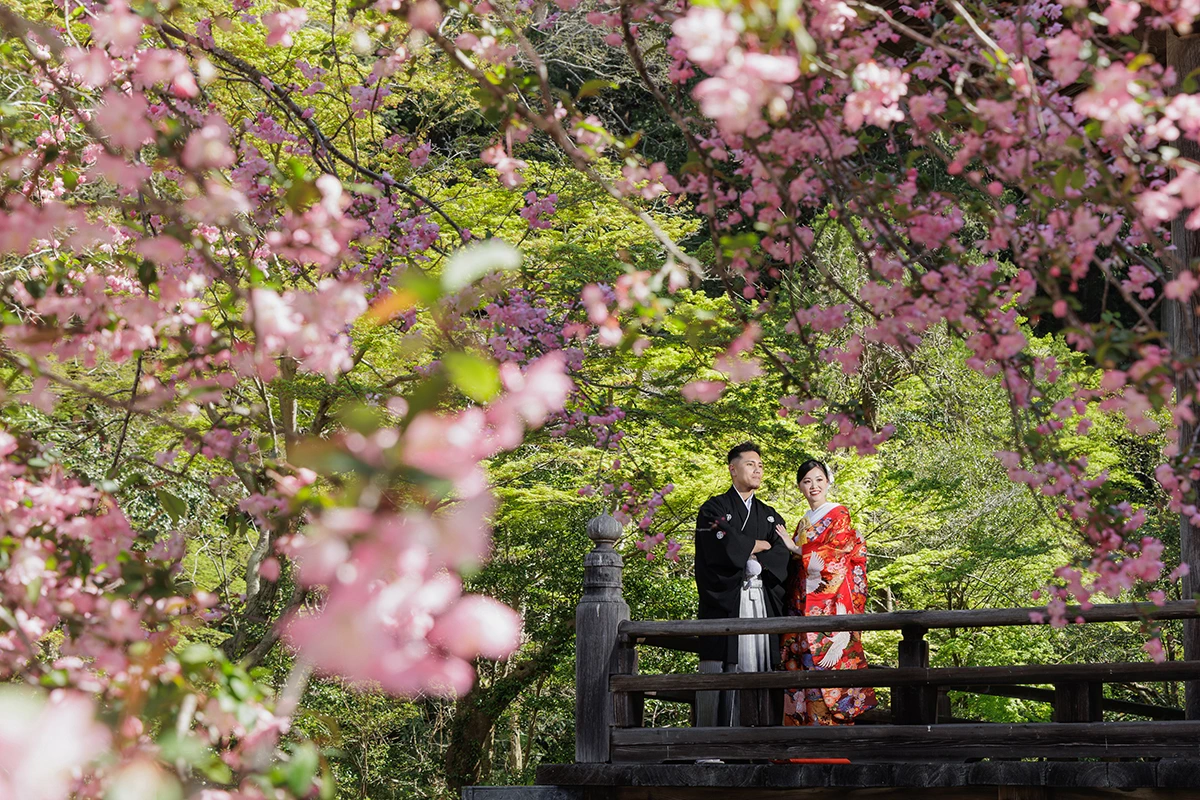 妙本寺で和装の色打掛と紋付袴を着た新郎新婦が春に残す和装前撮り