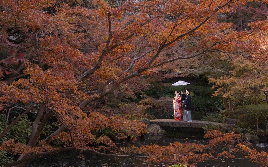 東京の庭園で前撮り！和装も洋装も映えるおすすめ5選