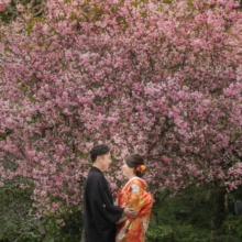 鎌倉 和装 K様・K様 2020.03.31 満開の春の花を背景に、赤い色打掛の新婦と黒紋付袴の新郎が向かい合う鎌倉フォトウェディング