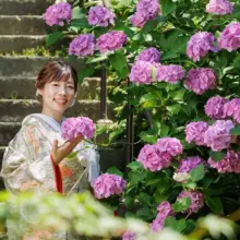 鎌倉・緑と紫陽花が綺麗なお寺 2024.06.14