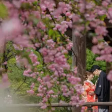 鎌倉・妙本寺 2023.03.26