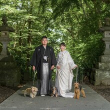鎌倉・妙本寺で夏に撮影した和装前撮り 鎌倉・妙本寺で白無垢を着用した新婦と紋付袴を着用した新郎が愛犬を連れて残す和装ウェディングフォト