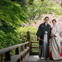 鎌倉・妙本寺で春に撮影した和装前撮り 鎌倉・妙本寺で白無垢を着用した新婦と紋付袴を着用した新郎が桜と一緒に写る和装前撮り