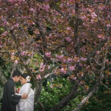 鎌倉・妙本寺で春に撮影した和装前撮り 鎌倉・妙本寺で白無垢を着用した新婦と紋付袴を着用した新郎が花と一緒に写る和装ウェディングフォト