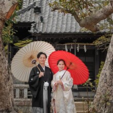 鎌倉・鎌倉本店の隣の神社で春に撮影した和装前撮り 鎌倉・鎌倉本店の隣の神社で白無垢を着用した新婦と紋付袴を着用した新郎が番傘を持って写る和装前撮り
