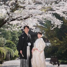 鎌倉・建長寺で春に撮影した和装前撮り 鎌倉・建長寺で白無垢を着用した新婦と紋付袴を着用した新郎が桜の下で残す和装ウェディングフォト