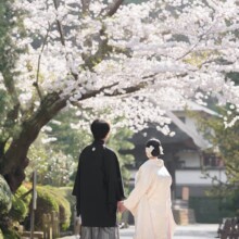 鎌倉・建長寺で春に撮影した和装前撮り 鎌倉・建長寺で白無垢を着用した新婦と紋付袴を着用した新郎が手を取って後ろを向いている和装前撮り