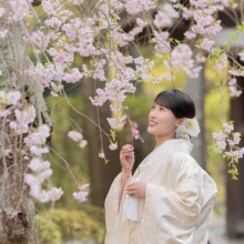 鎌倉・建長寺で春に撮影した和装前撮り 鎌倉・建長寺で白無垢を着用した新婦が桜を見てほほ笑む和装前撮り