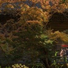 荘厳美麗　其の弐(に)