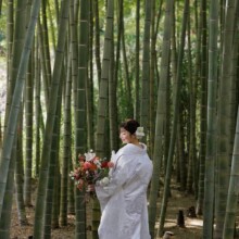 荘厳美麗　其の伍(ご)
