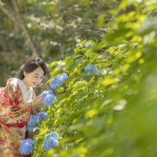 鎌倉・建長寺で夏に撮影した和装前撮り 鎌倉・建長寺で紫陽花に向かってほほ笑む新婦の和装前撮り