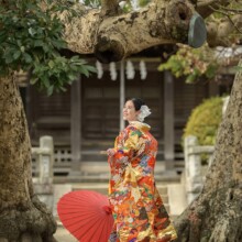 鎌倉・鎌倉本店の隣の神社で撮影した和装前撮り 鎌倉・鎌倉本店の隣の神社で色打掛を着用した新婦が笑顔で空を見上げている和装前撮り