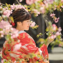 鎌倉・妙本寺で春に撮影した和装前撮り 鎌倉・妙本寺で色打掛を着用した新婦が番傘を桜を手に取り眺めている和装前撮り