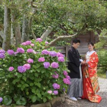 鎌倉・英勝寺で夏に撮影した和装前撮り 鎌倉・英勝寺で色打掛を着用した新婦と紋付袴を着用した新郎が手を取り紫陽花とともに写る和装前撮り