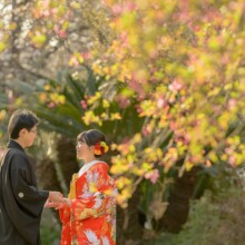 鎌倉・妙本寺で春に撮影した和装前撮り 鎌倉・妙本寺で色打掛を着用した新婦と紋付袴を着用した新郎が向かい合って手を取っている和装前撮り