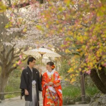 鎌倉・妙本寺で春に撮影した和装前撮り 鎌倉・妙本寺で色打掛を着用した新婦と紋付袴を着用した新郎が番傘を持ち歩いている和装前撮り