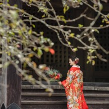 鎌倉・妙本寺で夏に撮影した和装前撮り 鎌倉・妙本寺で色打掛を着用した新婦が写る和装前撮り