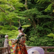 鎌倉・妙本寺で夏に撮影した和装前撮り 鎌倉・妙本寺で色打掛を着用した新婦が写る和装前撮り