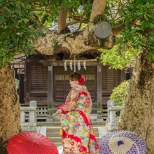 鎌倉・鎌倉本店の隣の神社で冬に撮影した和装前撮り 鎌倉・鎌倉本店の隣の神社で色打掛を着用した新婦の後ろ姿を写した和装ウェディングフォト
