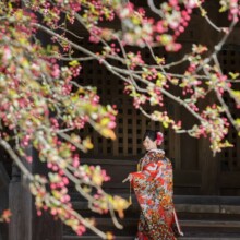 鎌倉・妙本寺で春に撮影した和装前撮り 鎌倉・妙本寺で色打掛を着用した新婦の後ろ姿を写した和装前撮り