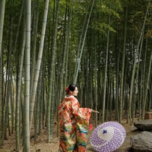鎌倉・建長寺で春に撮影した和装前撮り 鎌倉・建長寺で色打掛を着用した新婦が竹林エリアで写る和装前撮り