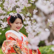 鎌倉・建長寺で春に撮影した和装前撮り 鎌倉・建長寺で色打掛を着用した新婦が桜の中で写る和装前撮り