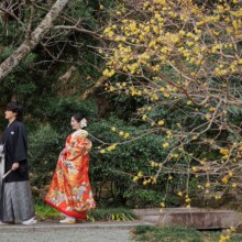鎌倉・妙本寺で冬に撮影した和装前撮り 鎌倉・妙本寺で色打掛を着用した新婦と紋付袴を着用した新郎が歩いた姿を写した和装前撮り