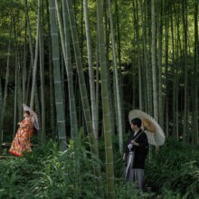 鎌倉・英勝寺で夏に撮影した和装前撮り 鎌倉・妙本寺で色打掛を着用した新婦と紋付袴を着用した新郎が竹林の中で写る和装前撮り