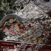 富士山みずほプラン