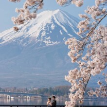 富士山みずほプラン
