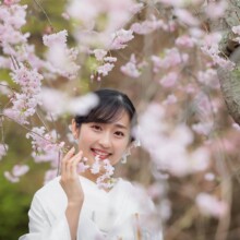 ロケプラン鎌倉和