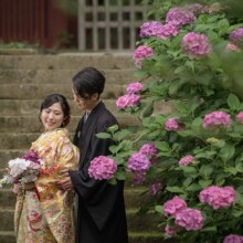 鎌倉・妙法寺で夏に撮影した和装前撮り 鎌倉・妙法寺で色打掛を着用した新婦と紋付袴を着用した新郎が紫陽花と一緒に写る和装前撮り