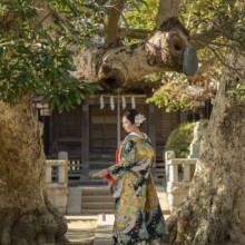 鎌倉・鎌倉本店の隣の神社で冬に撮影した和装前撮り 鎌倉・鎌倉本店の隣の神社で色打掛を着用した新婦の後ろ姿を写した和装前撮り