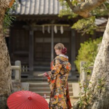 鎌倉・鎌倉本店の隣の神社で春に撮影した和装前撮り 鎌倉・鎌倉本店の隣の神社で色打掛を着用した新婦の後ろ姿を写した和装前撮り
