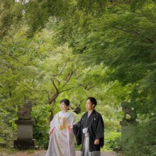 鎌倉・建長寺で春に撮影した和装前撮り 鎌倉・妙本寺で色打掛を着用した新婦と紋付袴を着用した新郎が歩いている和装ウェディングフォト